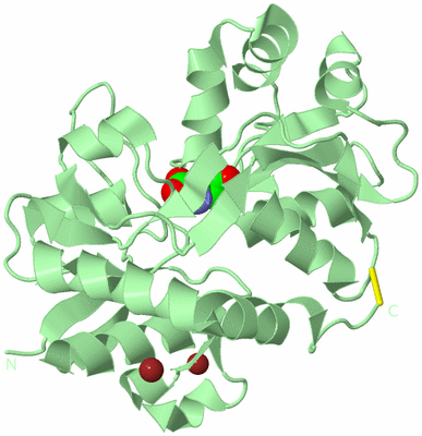 Image Biological Unit 2