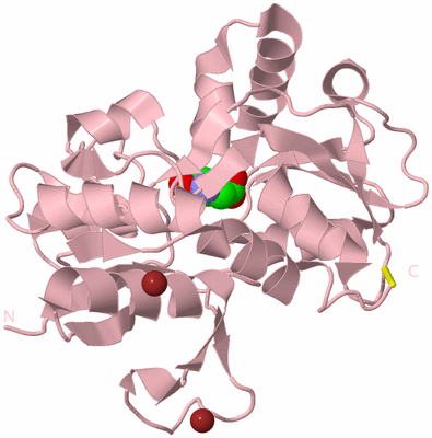 Image Biological Unit 3