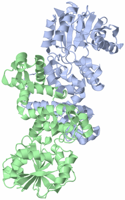 Image Asym./Biol. Unit