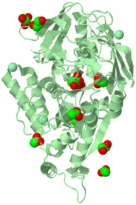 Image Biological Unit 2