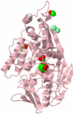 Image Biological Unit 3