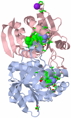 Image Asym./Biol. Unit - sites