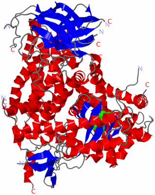 Image Asym./Biol. Unit