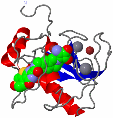 Image Asym./Biol. Unit