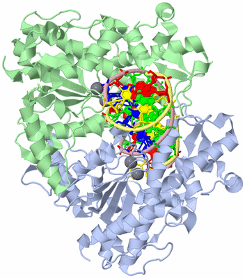 Image Asym./Biol. Unit