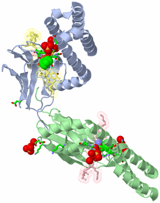 Image Biol. Unit 1 - sites