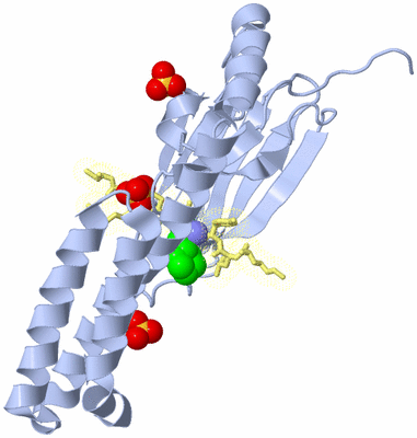 Image Biological Unit 2