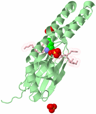 Image Biological Unit 3