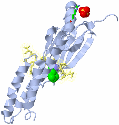 Image Biol. Unit 1 - sites