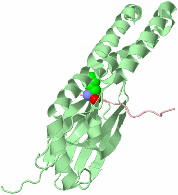 Image Biological Unit 2