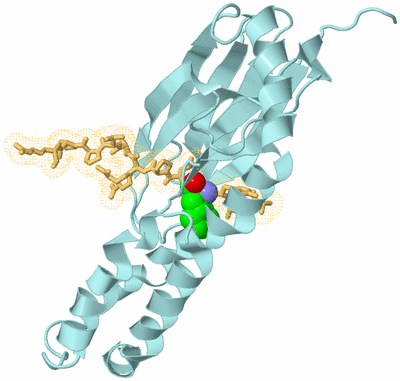 Image Biological Unit 2