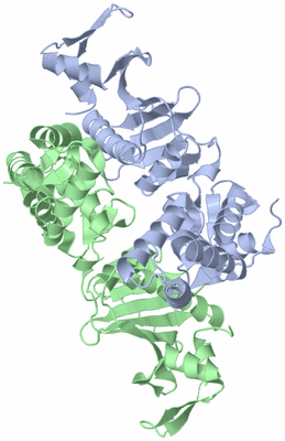 Image Asymmetric Unit