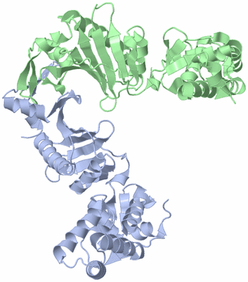 Image Biological Unit 2