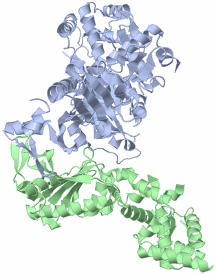 Image Asym./Biol. Unit
