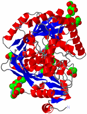 Image Asym./Biol. Unit