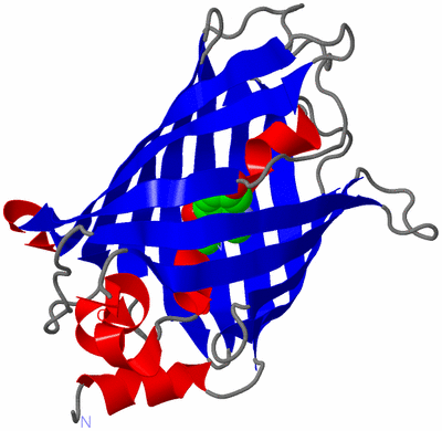 Image Asym./Biol. Unit