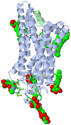 Image Asym./Biol. Unit - sites