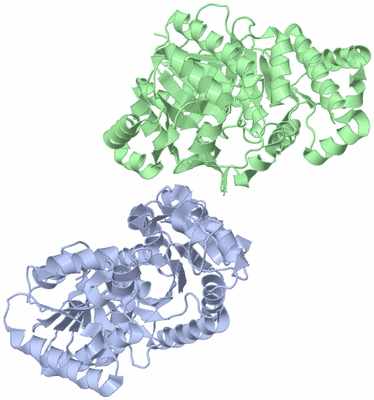 Image Asymmetric Unit