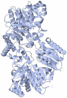 Image Biological Unit 1