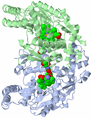 Image Asym./Biol. Unit