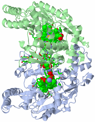 Image Asym./Biol. Unit - sites