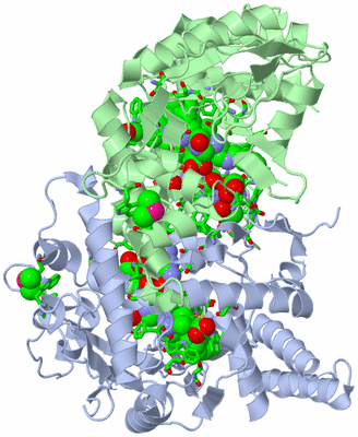 Image Asym./Biol. Unit - sites