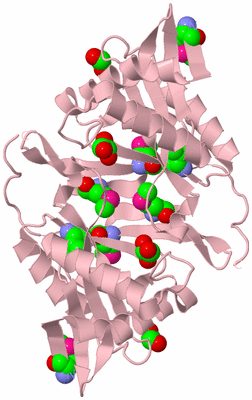 Image Biological Unit 1