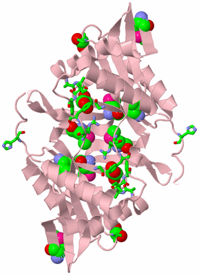 Image Biol. Unit 1 - sites