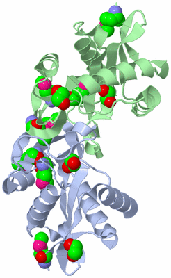 Image Biological Unit 2