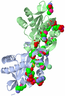 Image Asym./Biol. Unit