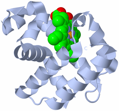 Image Biological Unit 1