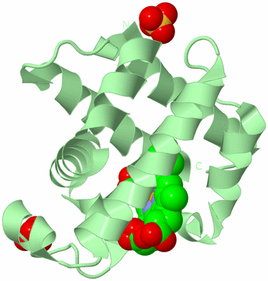 Image Biological Unit 2