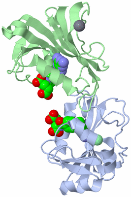 Image Asym./Biol. Unit