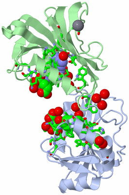 Image Asym./Biol. Unit - sites