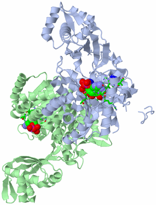 Image Asym./Biol. Unit - sites