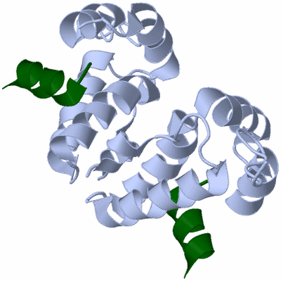 Image Biological Unit 2