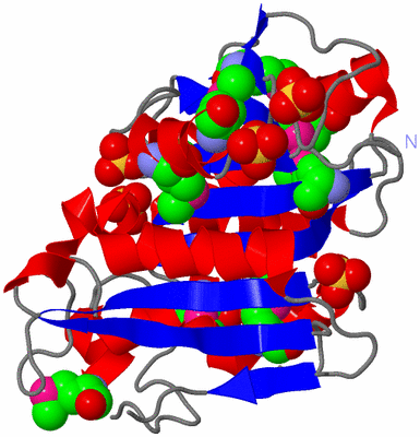 Image Asym./Biol. Unit