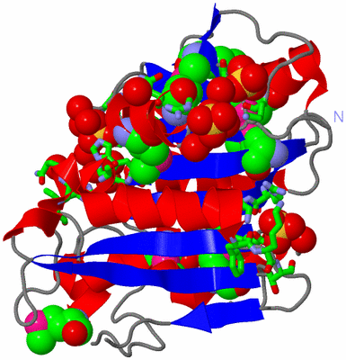 Image Asym./Biol. Unit - sites