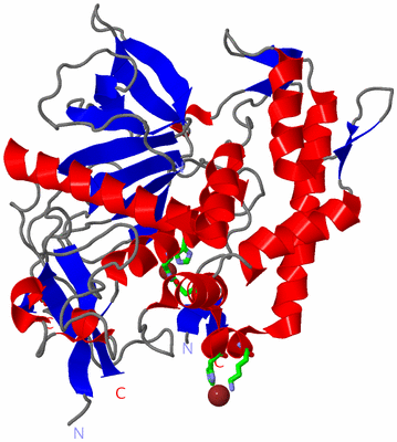 Image Asym./Biol. Unit - sites