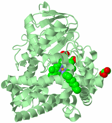 Image Biological Unit 2