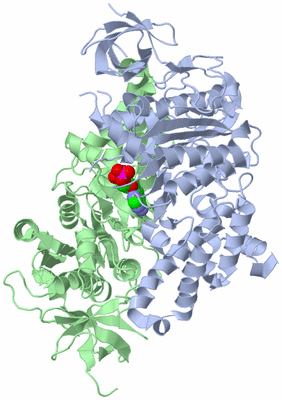 Image Asym./Biol. Unit