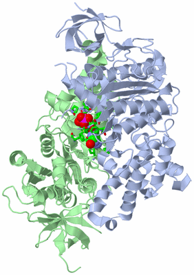 Image Asym./Biol. Unit - sites