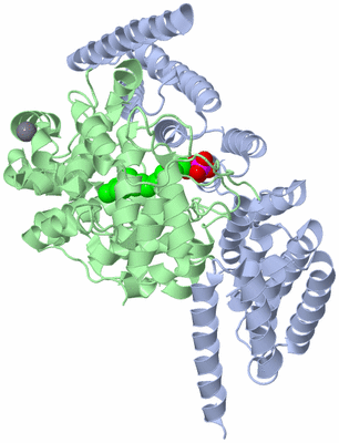 Image Asym./Biol. Unit