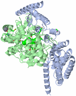 Image Asym./Biol. Unit - sites