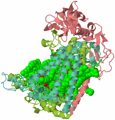 Image Asym./Biol. Unit - sites