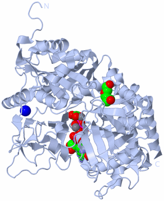 Image Biological Unit 1