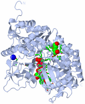 Image Biol. Unit 1 - sites