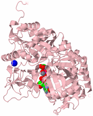 Image Biological Unit 2