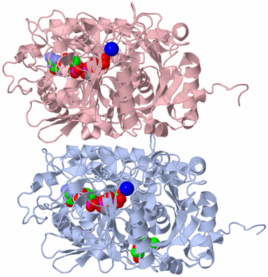 Image Biological Unit 3