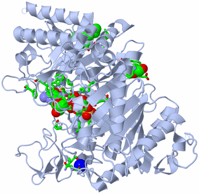 Image Biol. Unit 1 - sites